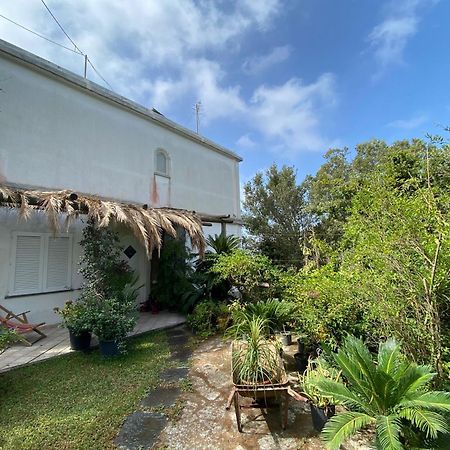 Le Dimore Di Zaro - Green Paradise Forio di Ischia Стая снимка