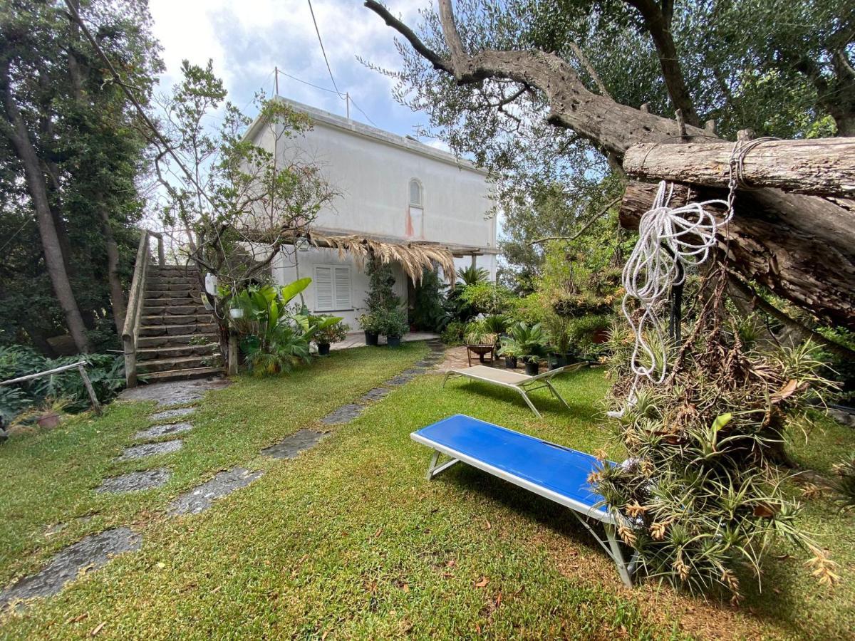 Le Dimore Di Zaro - Green Paradise Forio di Ischia Екстериор снимка