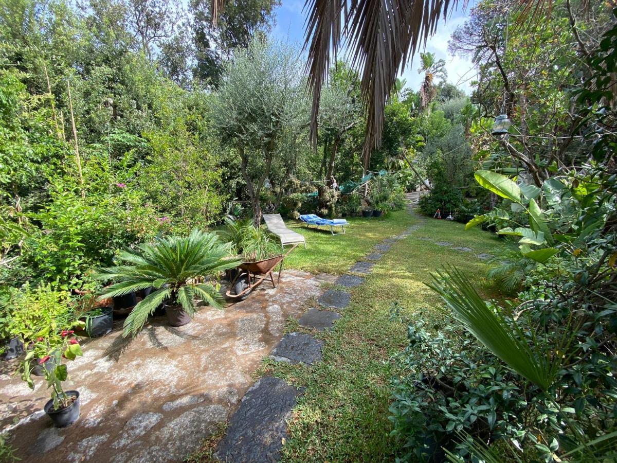 Le Dimore Di Zaro - Green Paradise Forio di Ischia Екстериор снимка