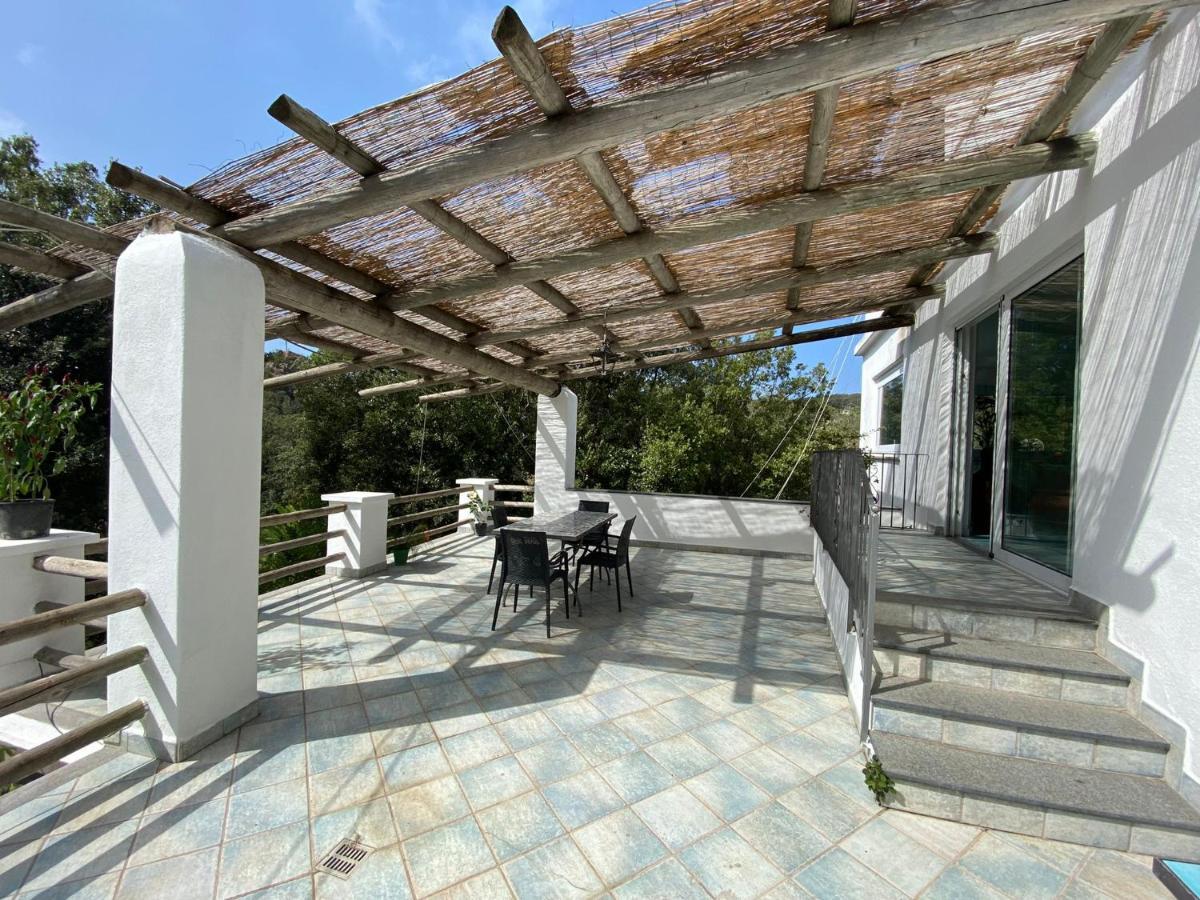 Le Dimore Di Zaro - Green Paradise Forio di Ischia Екстериор снимка