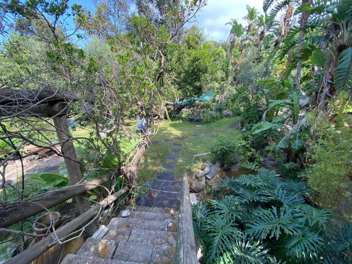 Le Dimore Di Zaro - Green Paradise Forio di Ischia Екстериор снимка