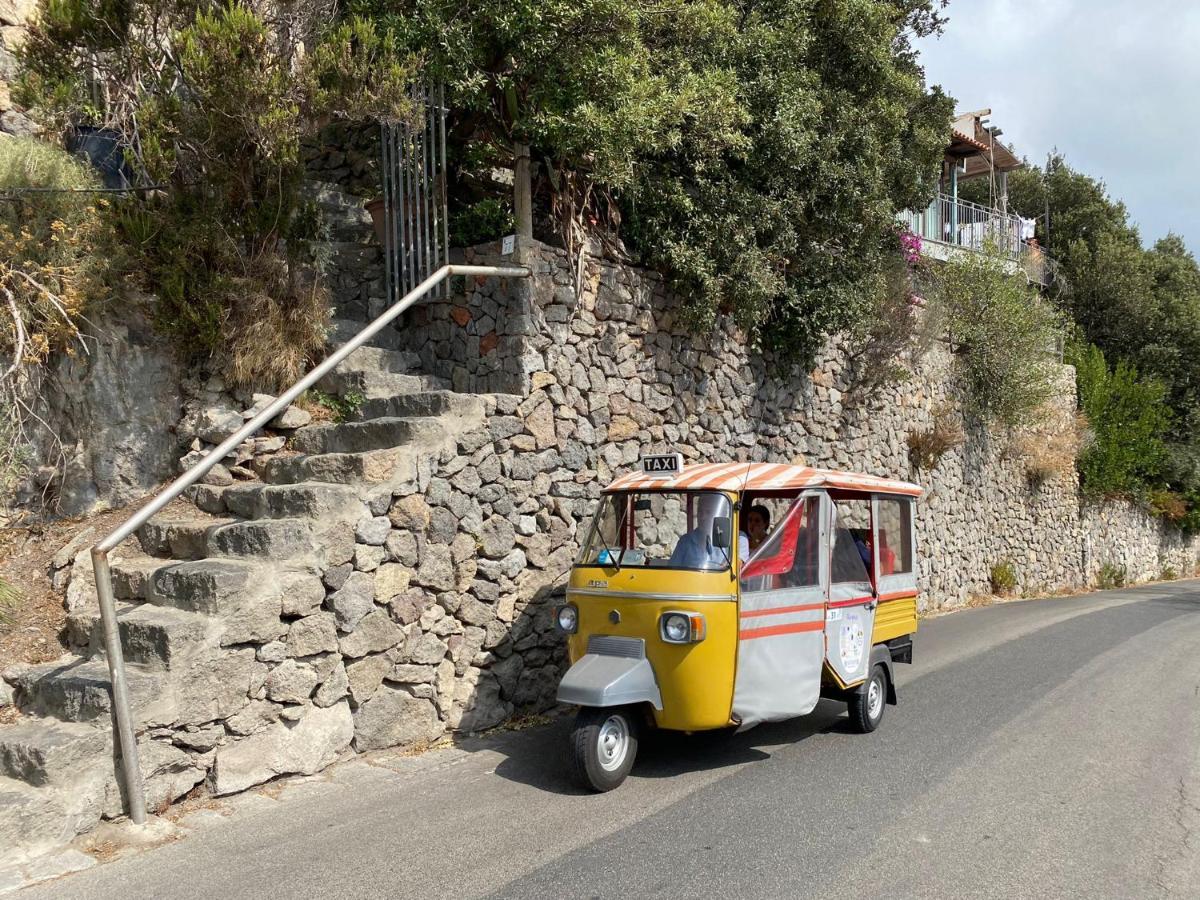 Le Dimore Di Zaro - Green Paradise Forio di Ischia Екстериор снимка