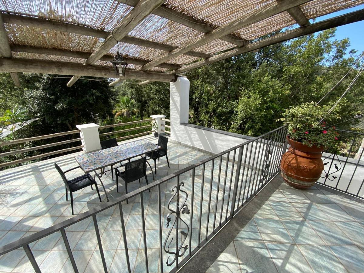 Le Dimore Di Zaro - Green Paradise Forio di Ischia Екстериор снимка