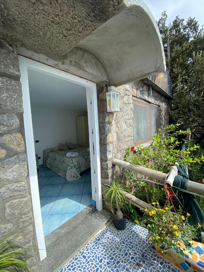 Le Dimore Di Zaro - Green Paradise Forio di Ischia Екстериор снимка