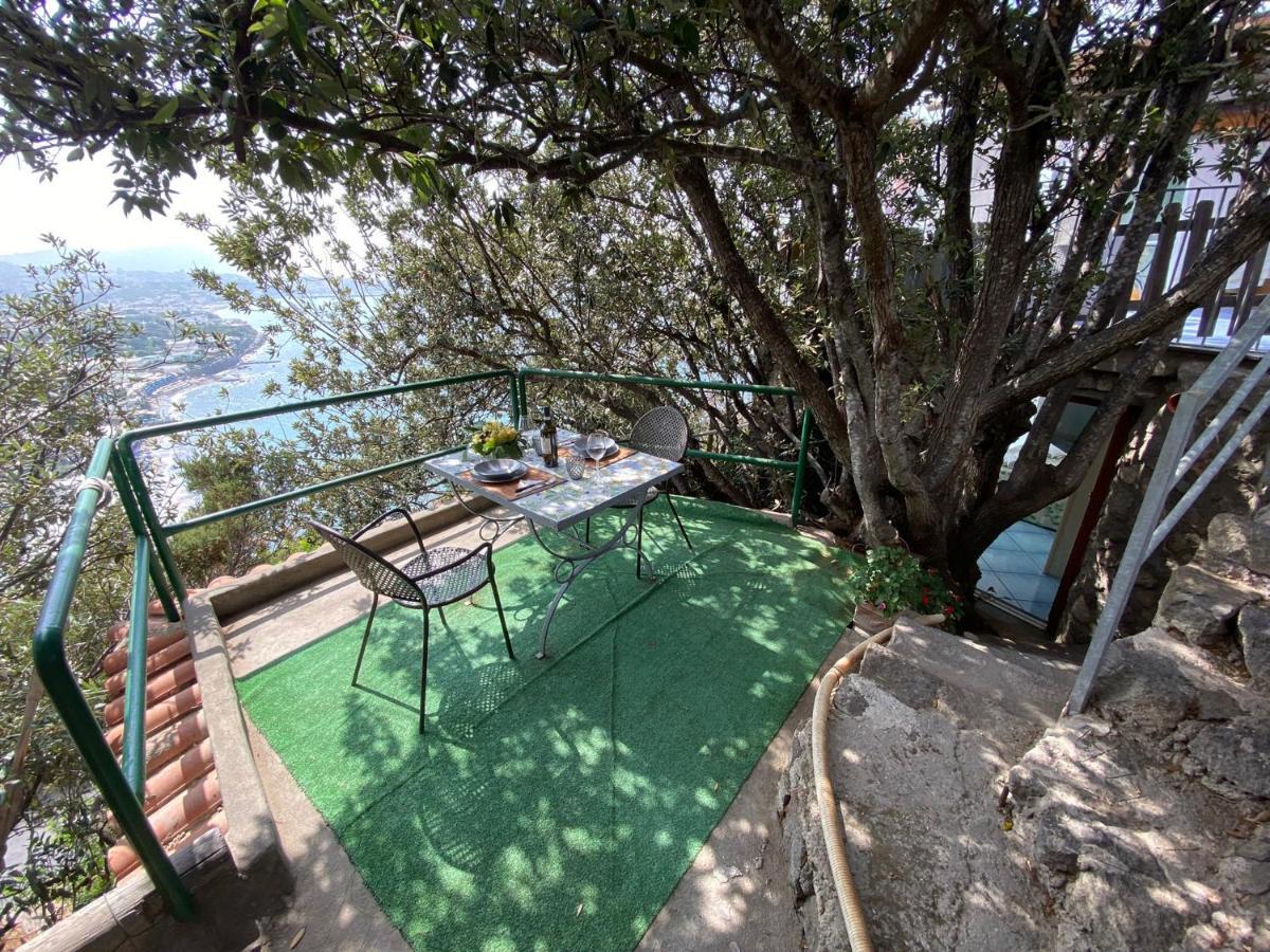 Le Dimore Di Zaro - Green Paradise Forio di Ischia Екстериор снимка