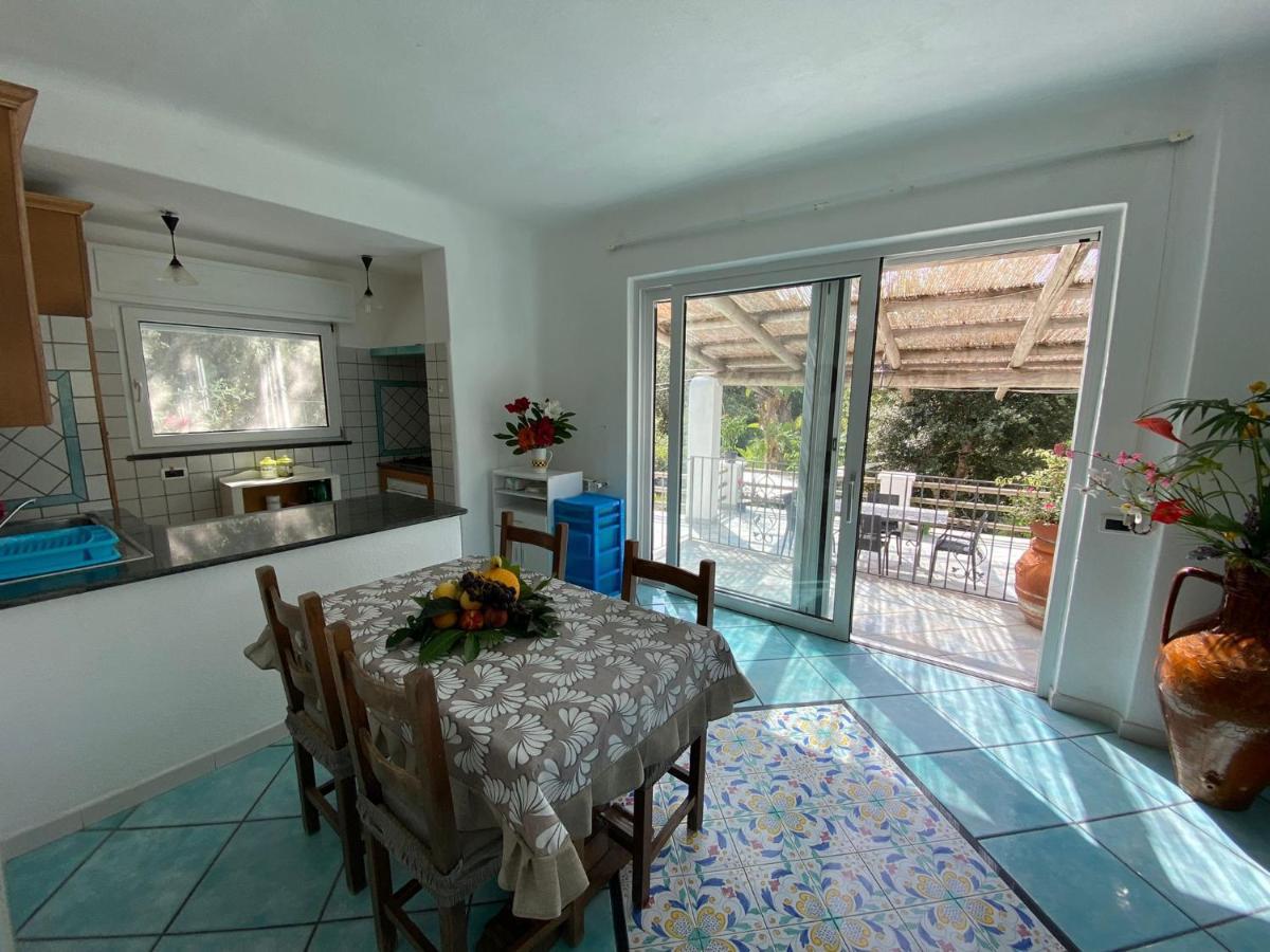 Le Dimore Di Zaro - Green Paradise Forio di Ischia Екстериор снимка