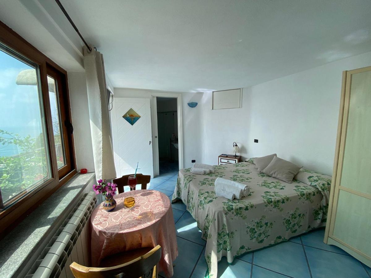 Le Dimore Di Zaro - Green Paradise Forio di Ischia Екстериор снимка