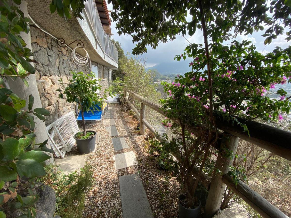 Le Dimore Di Zaro - Green Paradise Forio di Ischia Екстериор снимка