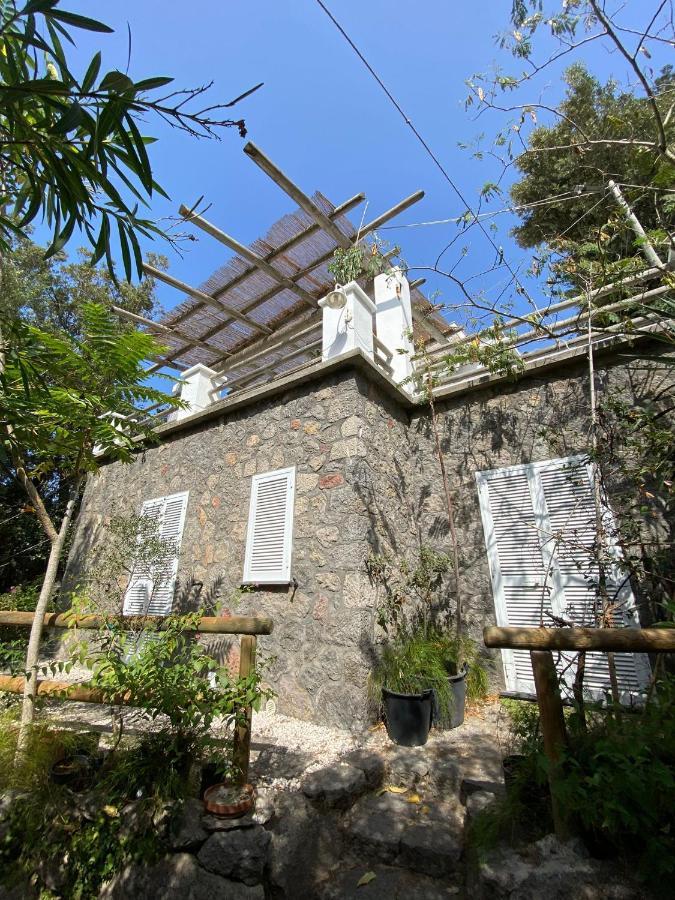Le Dimore Di Zaro - Green Paradise Forio di Ischia Екстериор снимка