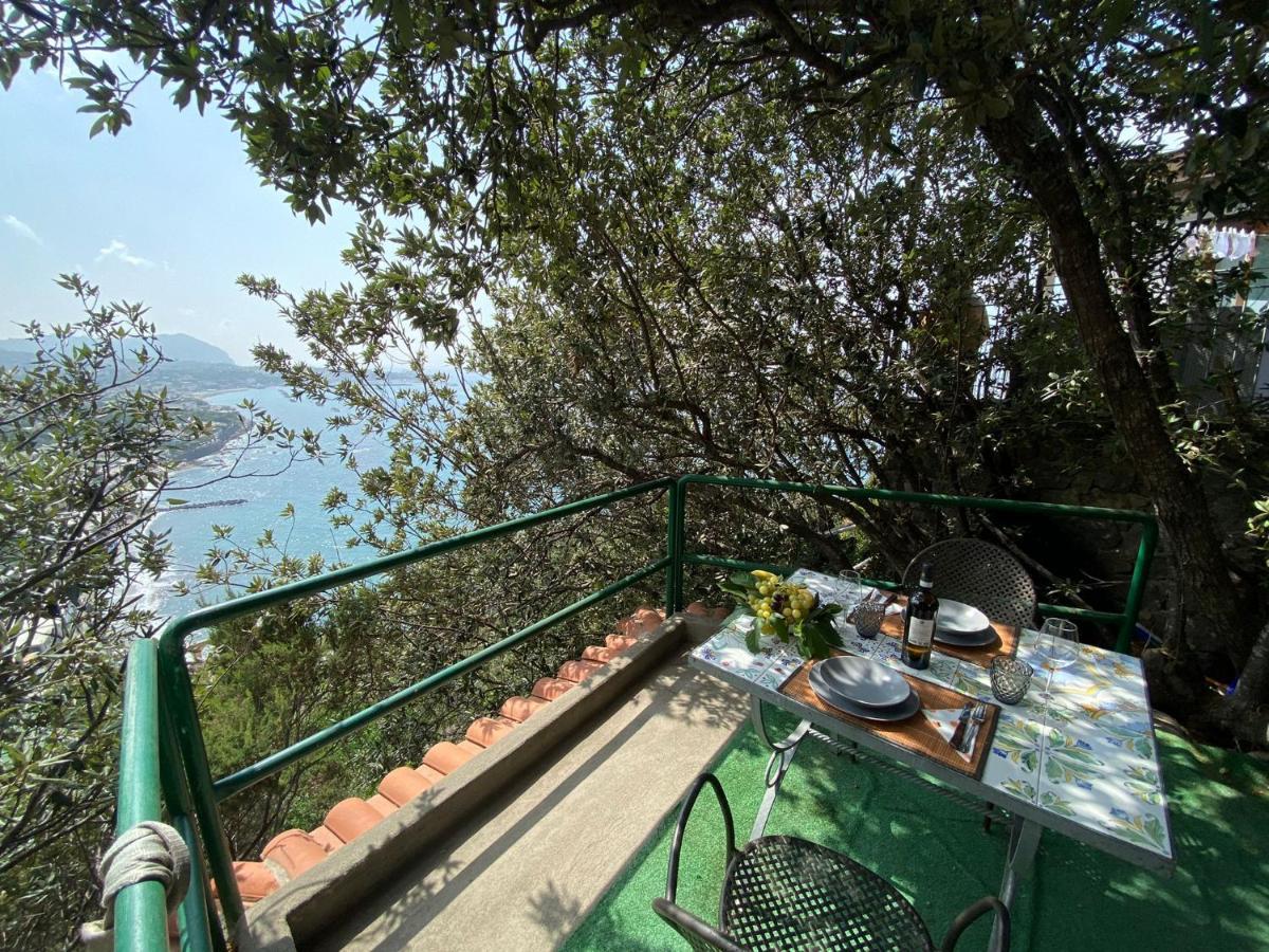 Le Dimore Di Zaro - Green Paradise Forio di Ischia Екстериор снимка