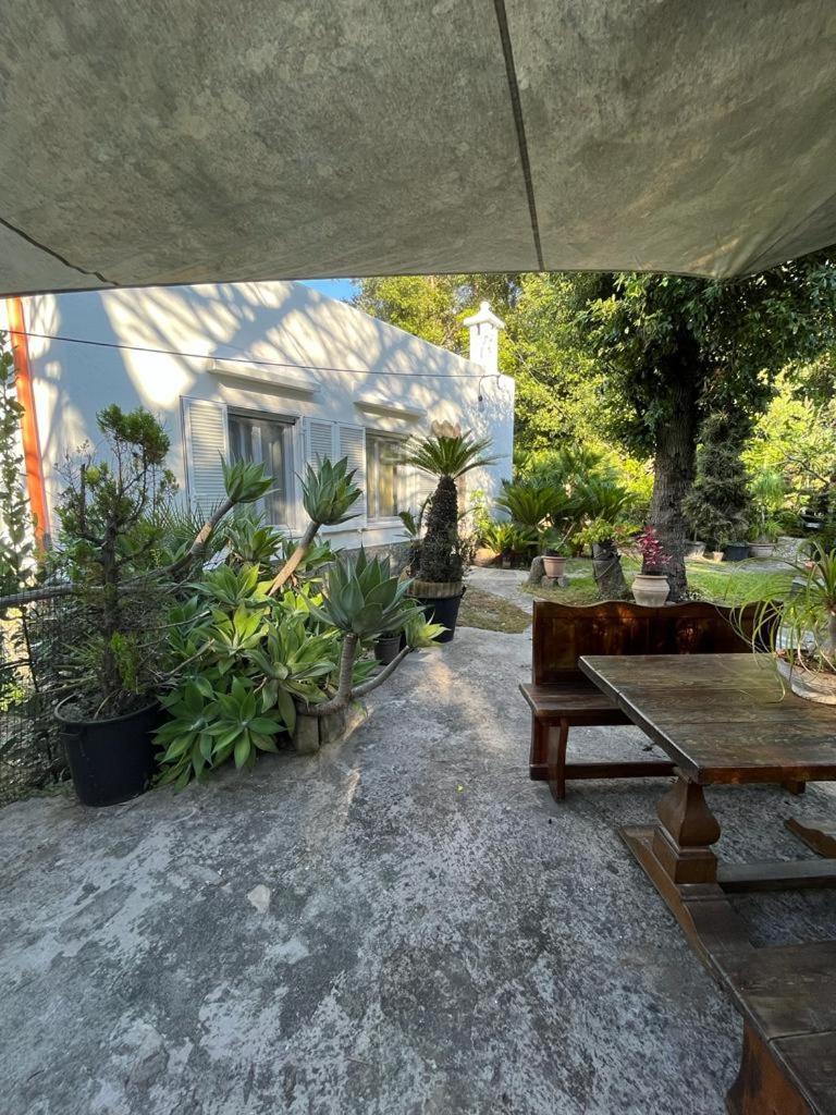 Le Dimore Di Zaro - Green Paradise Forio di Ischia Екстериор снимка