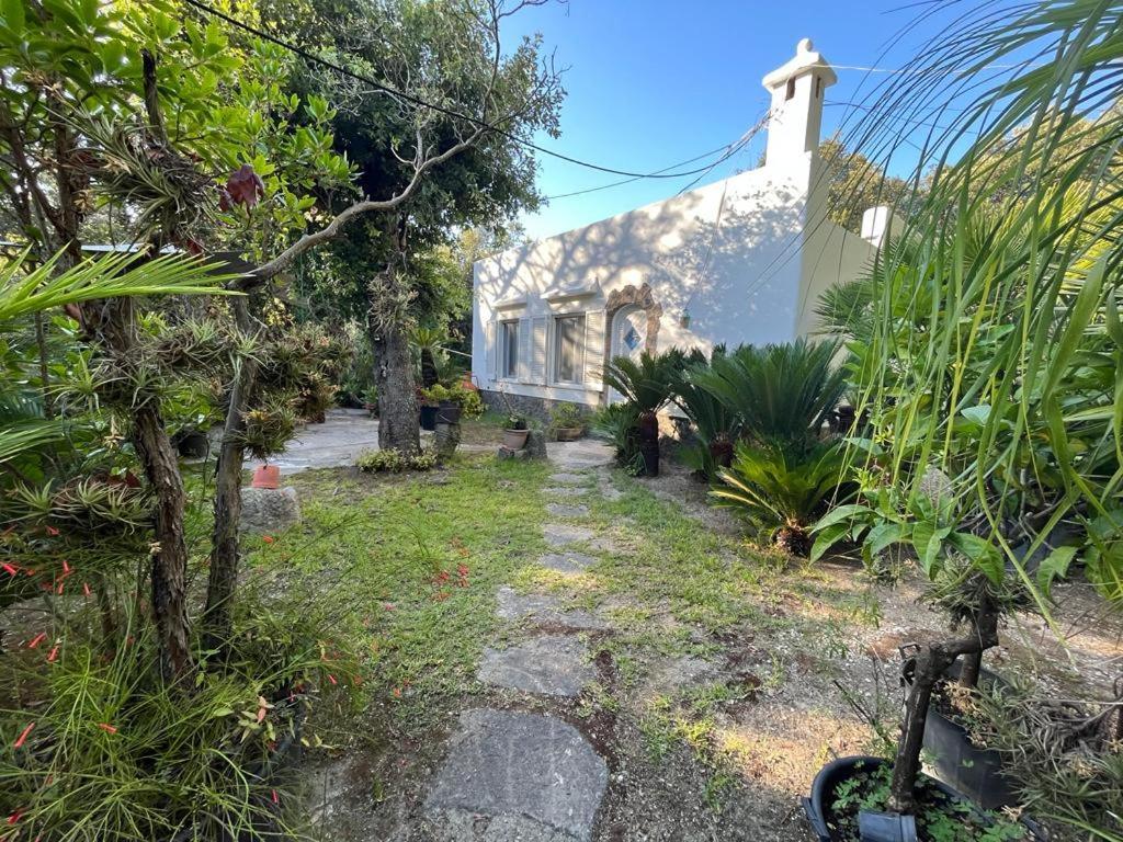 Le Dimore Di Zaro - Green Paradise Forio di Ischia Екстериор снимка