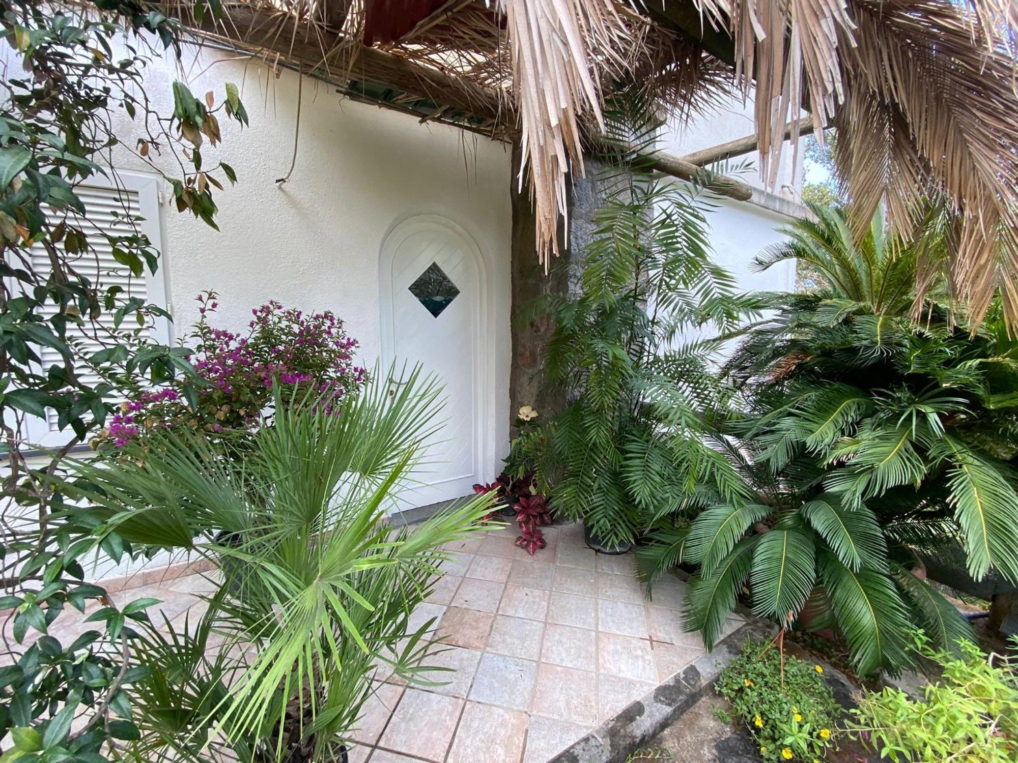 Le Dimore Di Zaro - Green Paradise Forio di Ischia Стая снимка