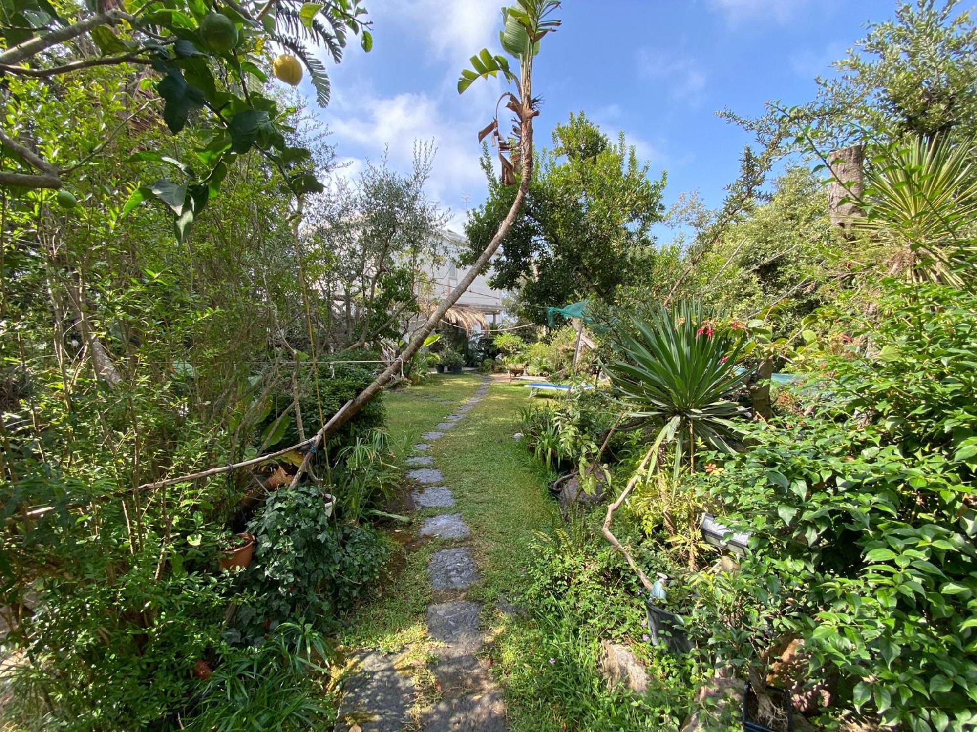 Le Dimore Di Zaro - Green Paradise Forio di Ischia Стая снимка