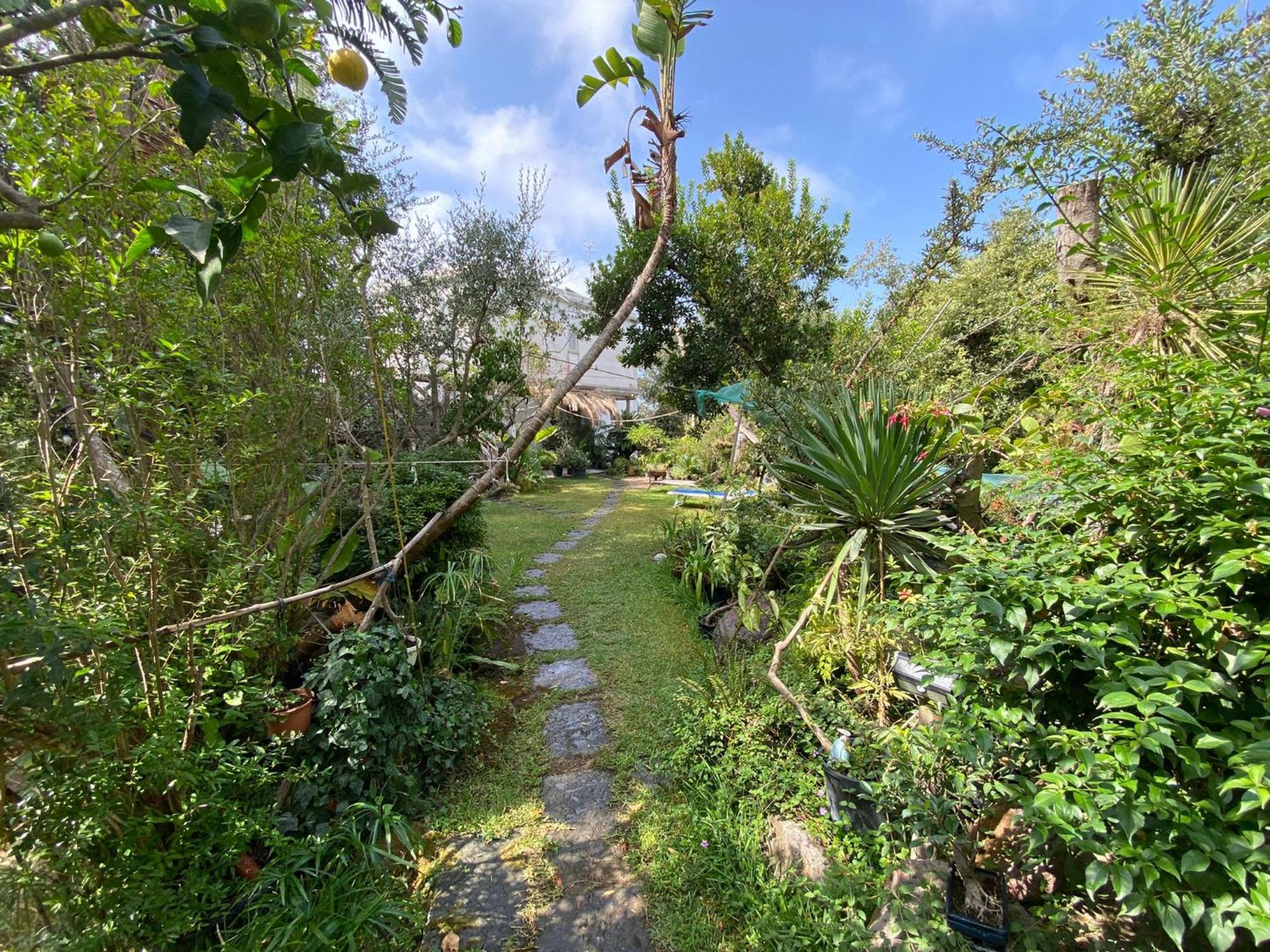 Le Dimore Di Zaro - Green Paradise Forio di Ischia Стая снимка
