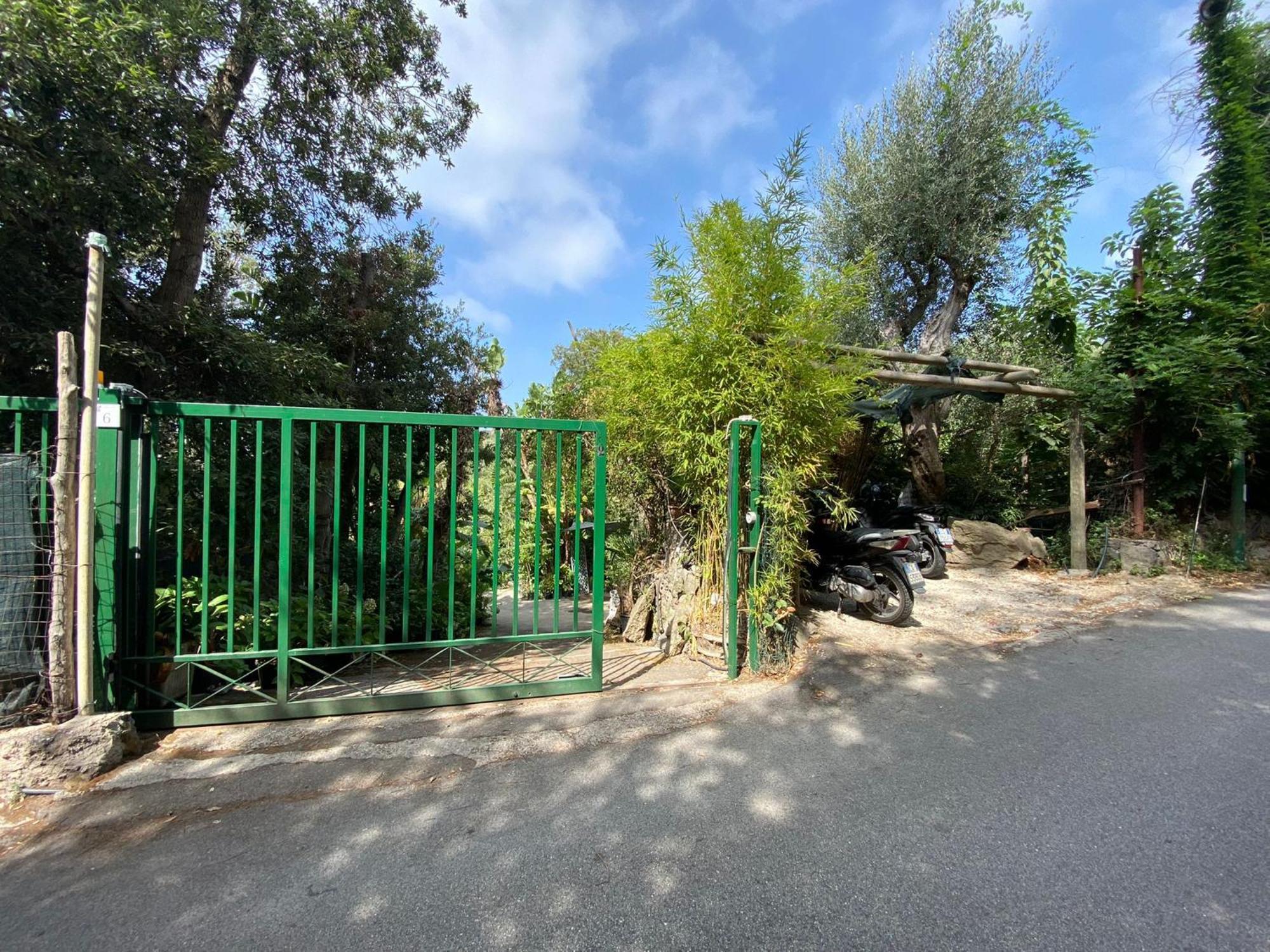 Le Dimore Di Zaro - Green Paradise Forio di Ischia Стая снимка