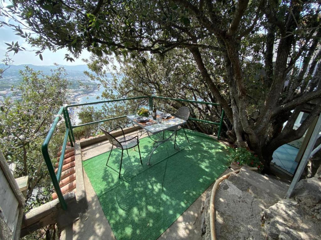 Le Dimore Di Zaro - Green Paradise Forio di Ischia Екстериор снимка