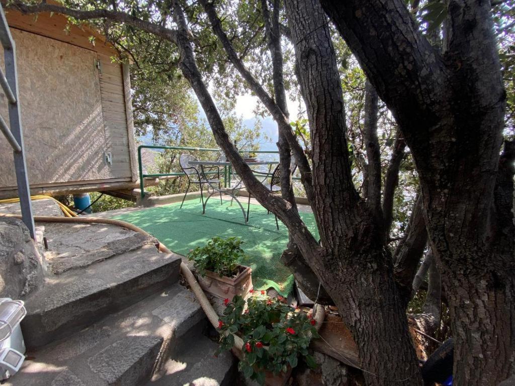 Le Dimore Di Zaro - Green Paradise Forio di Ischia Екстериор снимка