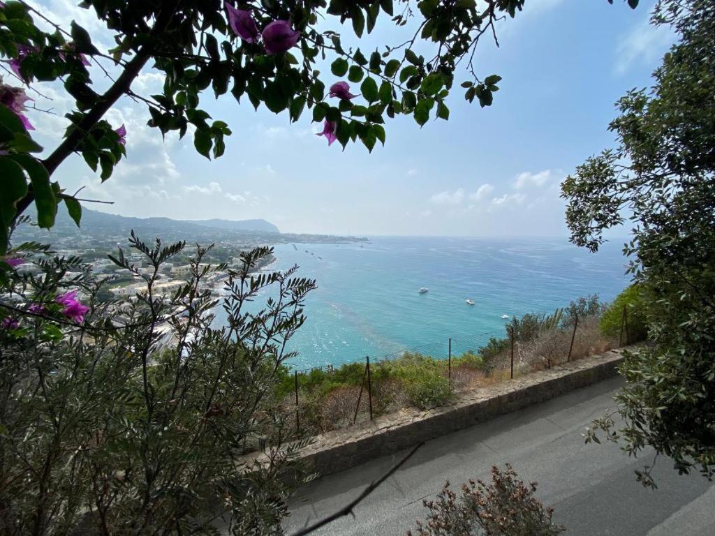 Le Dimore Di Zaro - Green Paradise Forio di Ischia Екстериор снимка